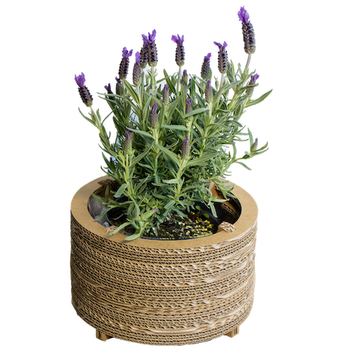 small cardboard plant pots Cardboard flower pots