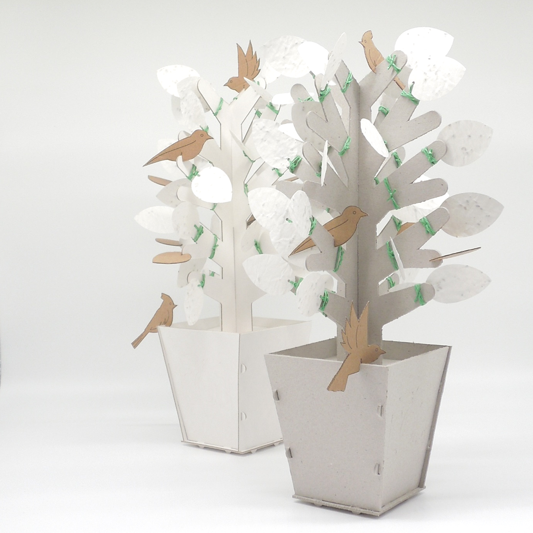 Intentieboom-voor-Eco-Dreamer-1