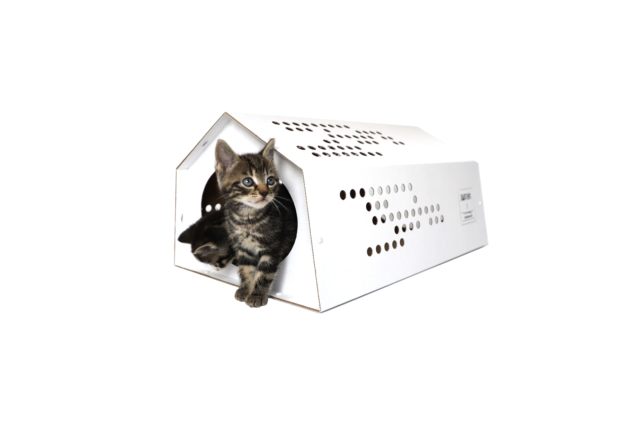 Kartonnen Katten Tent