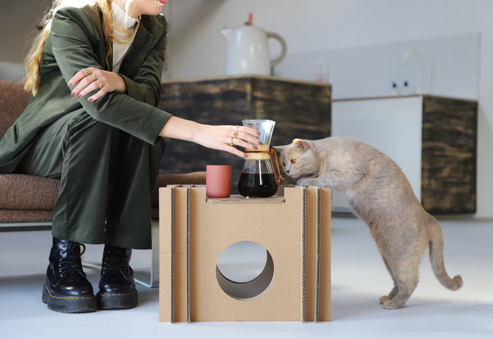 Katzenwürfel aus Pappe