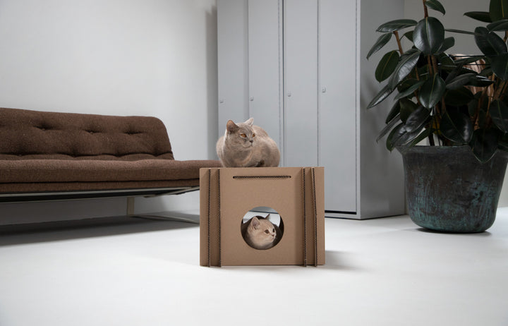 Katzenwürfel aus Pappe