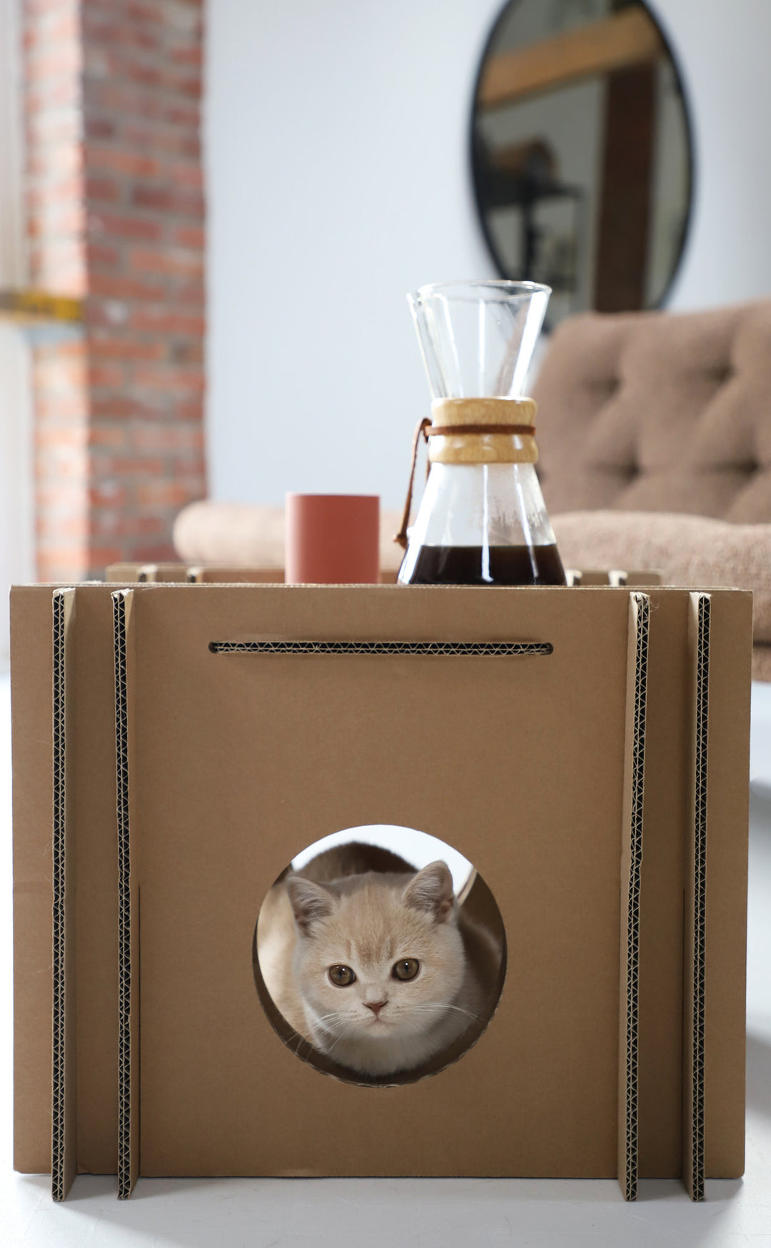 Katzenwürfel aus Pappe