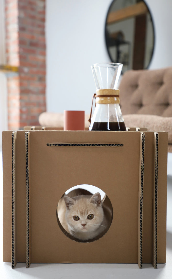 Katzenwürfel aus Pappe