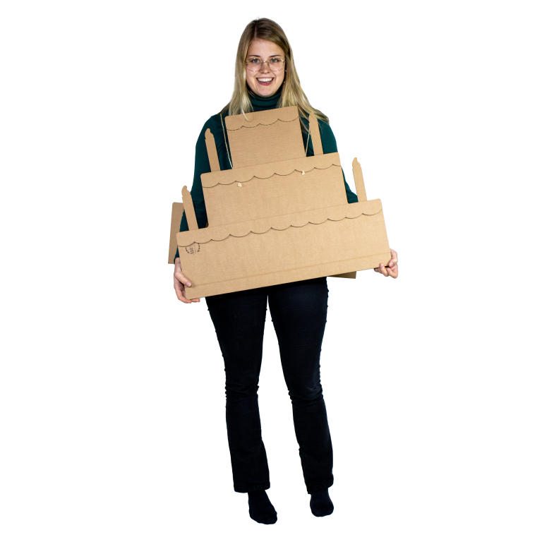 Cardboard Cake Fancy Dress Costume – Kartent