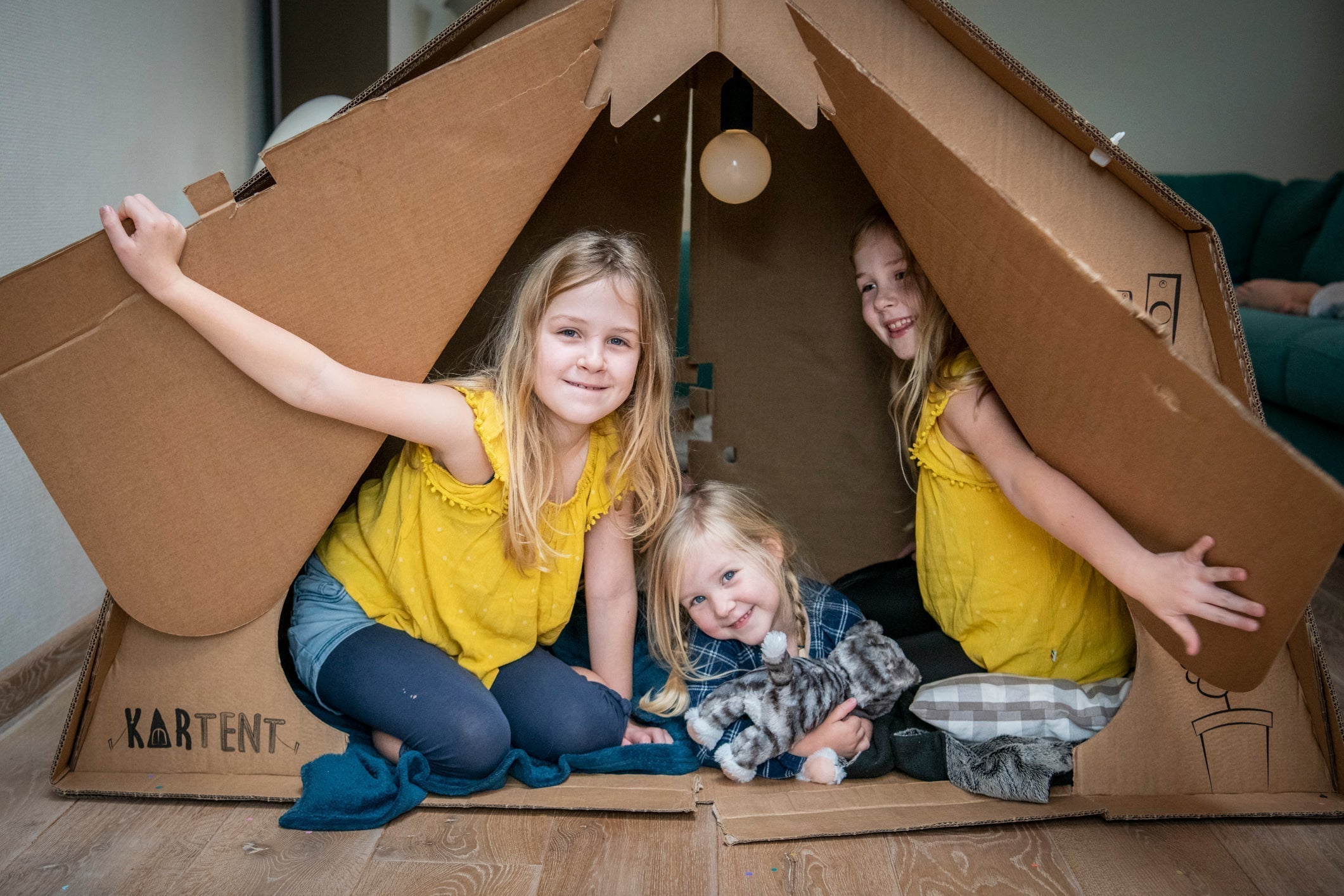 Het ontstaan van de webshop