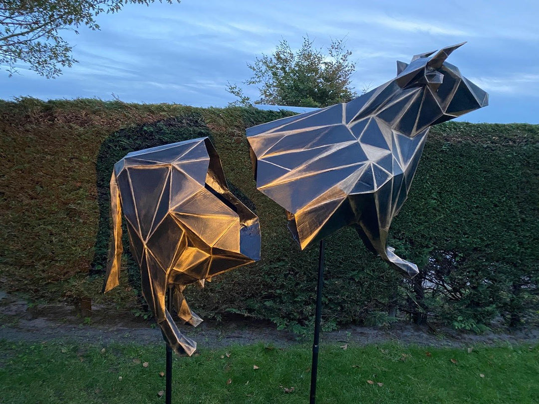 3D koe voor Strakora