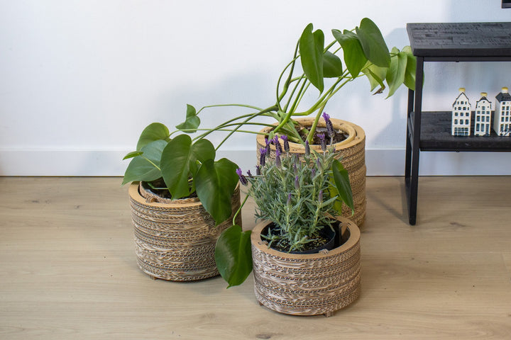 cardboard pots for plants Cardboard flower pots