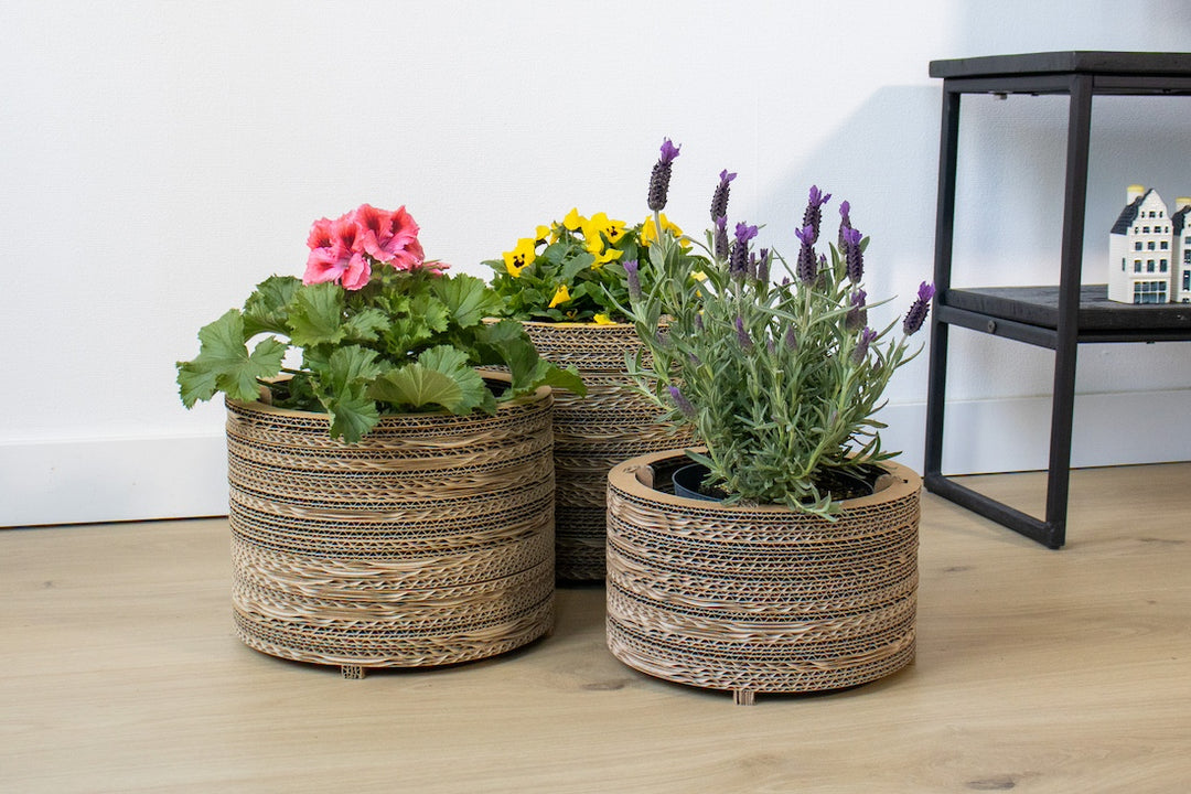 cardboard planter pots Cardboard flower pots