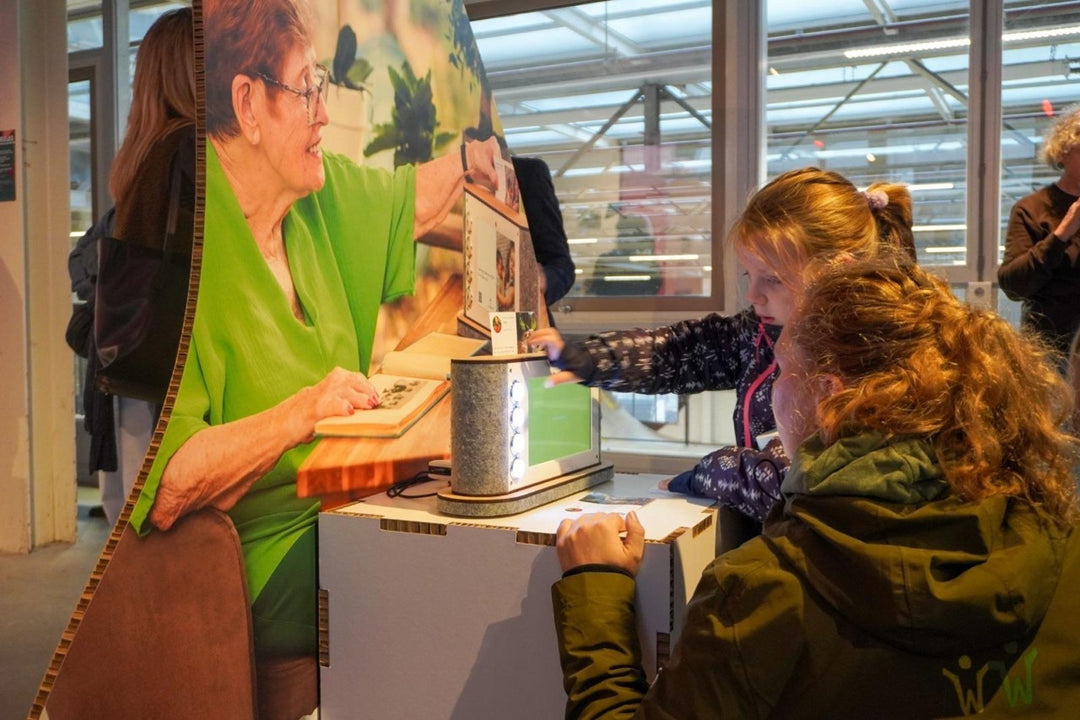 Kartonnen bedrukte honingraat stapelkubus op maat