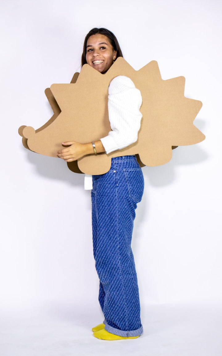 Cardboard hedgehog costume