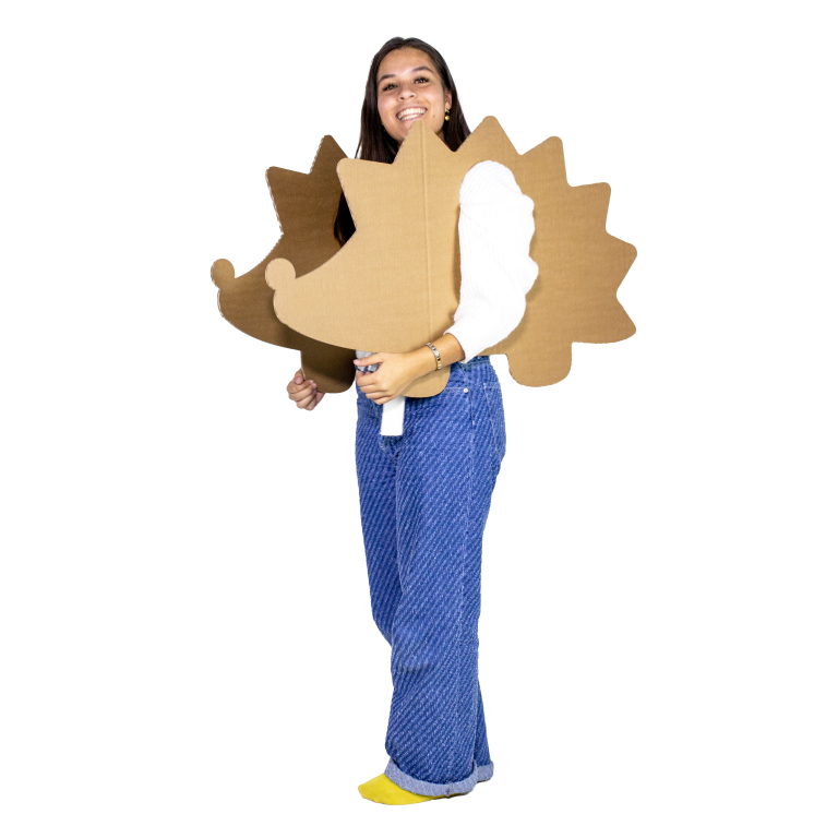 Cardboard hedgehog costume