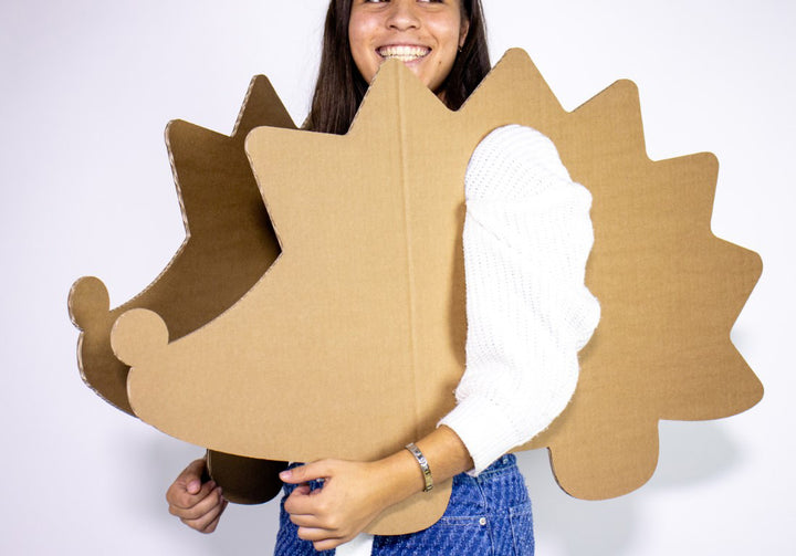 Cardboard hedgehog costume