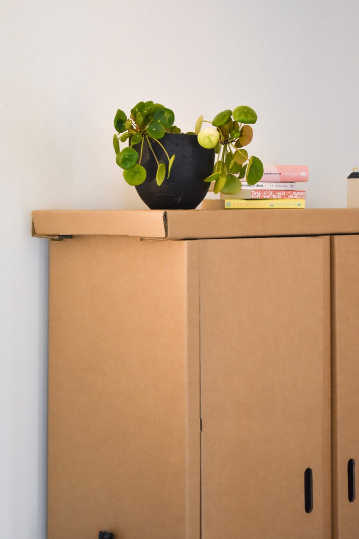 Kleiderschrank aus Karton