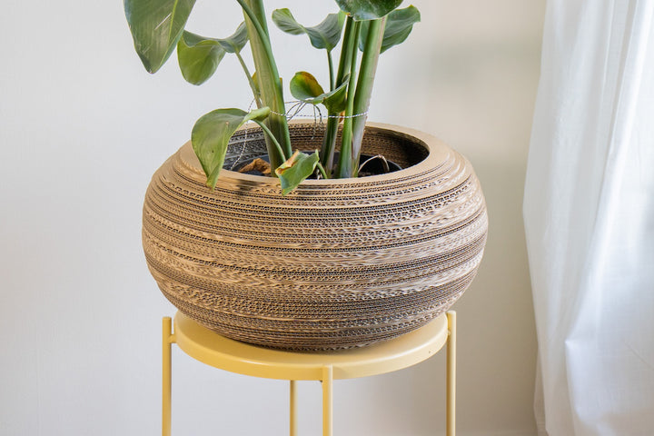 Kartonnen plantenpot monstera