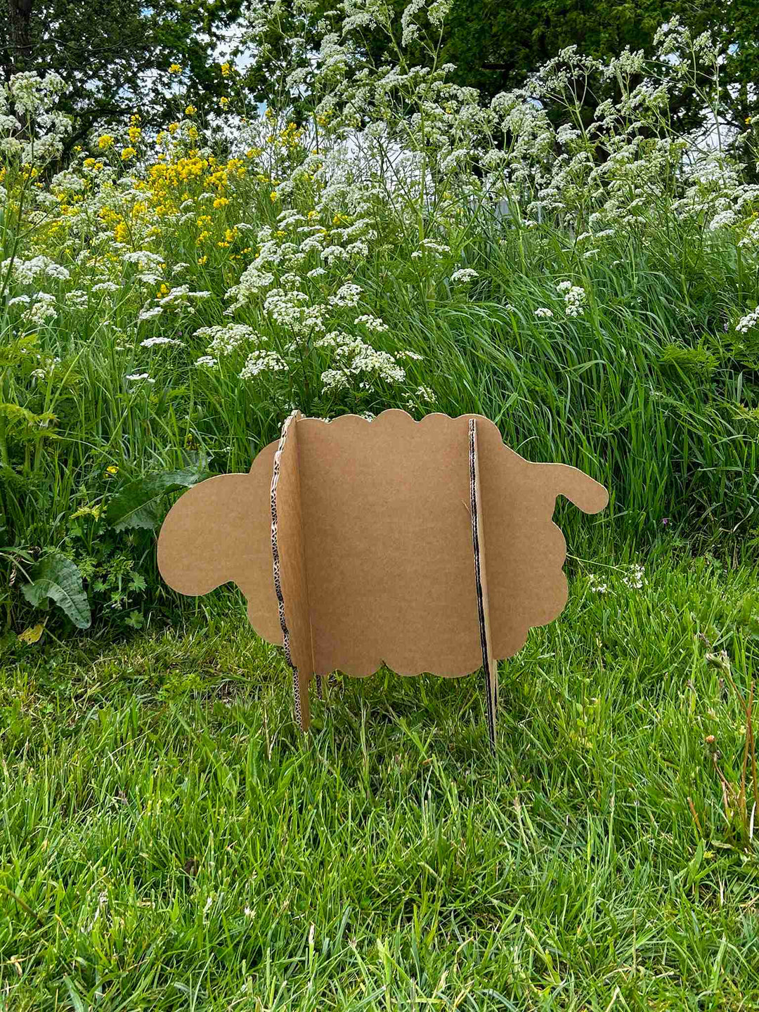 Kartonnen schaap