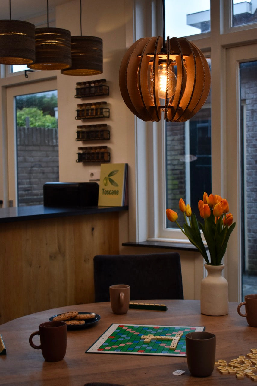 Cardboard Skanderborg lamp