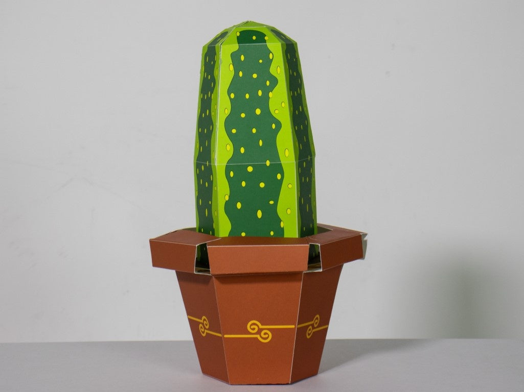 Cactus surprise