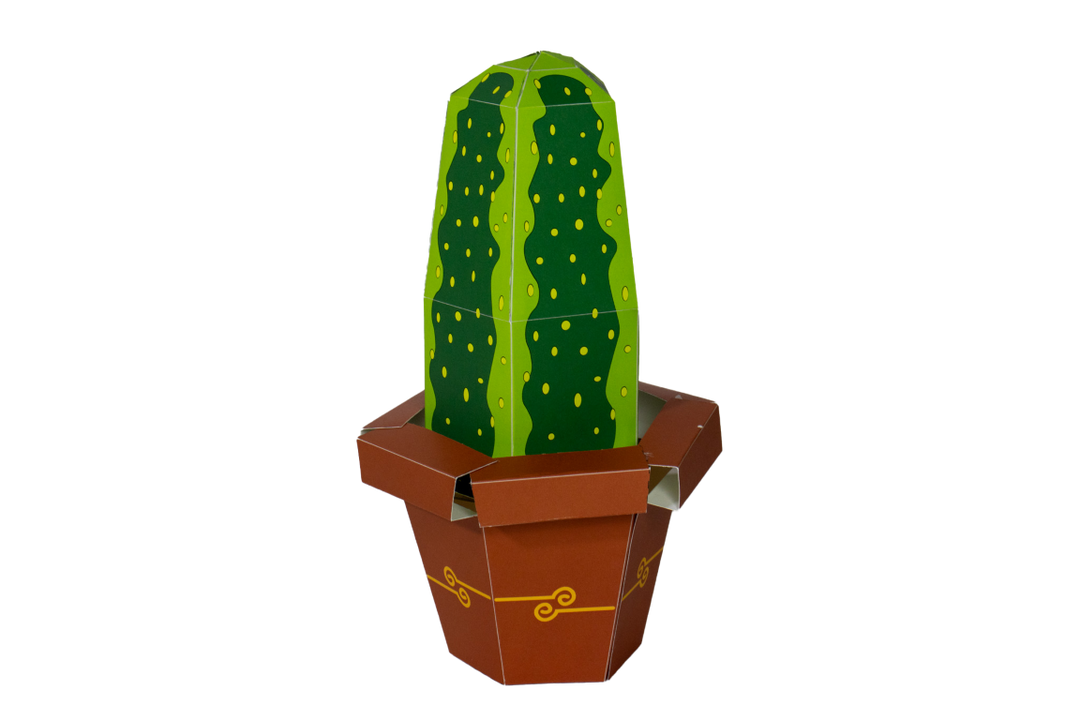 Cactus surprise