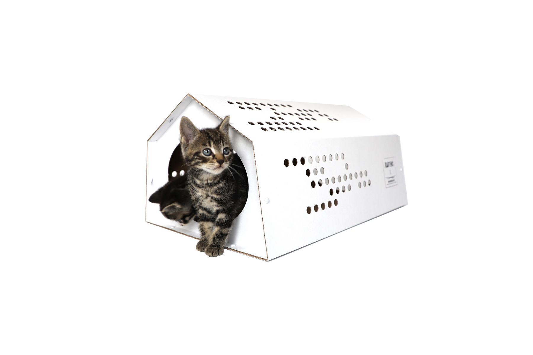 Kartonnen Katten Tent