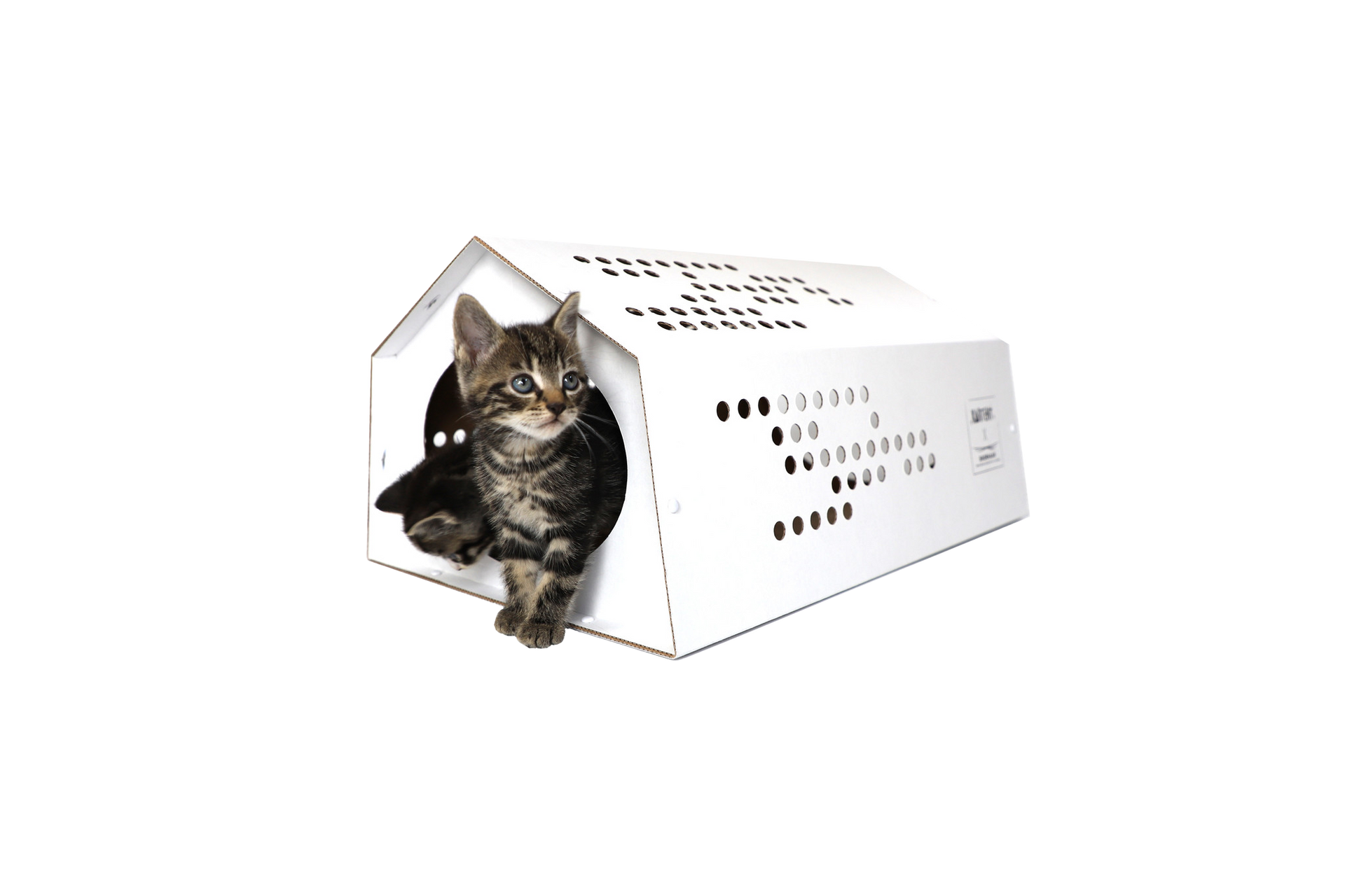 karton tent Cardboard Cat Tent
