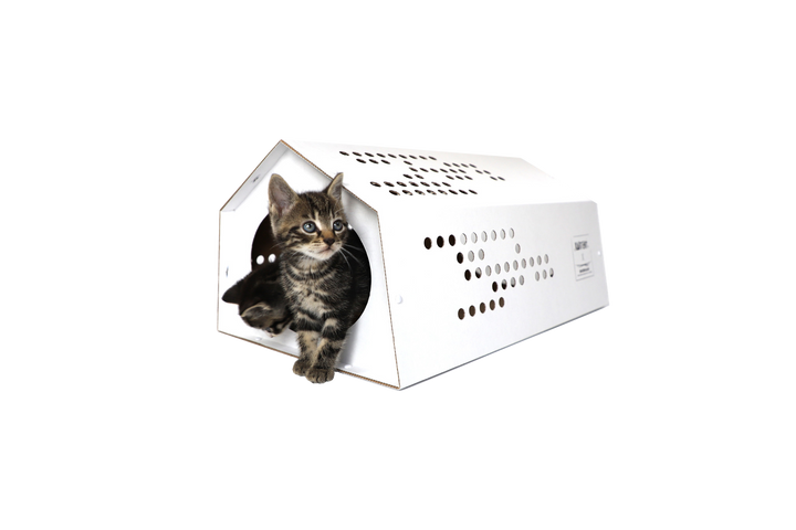 Cardboard cat tent