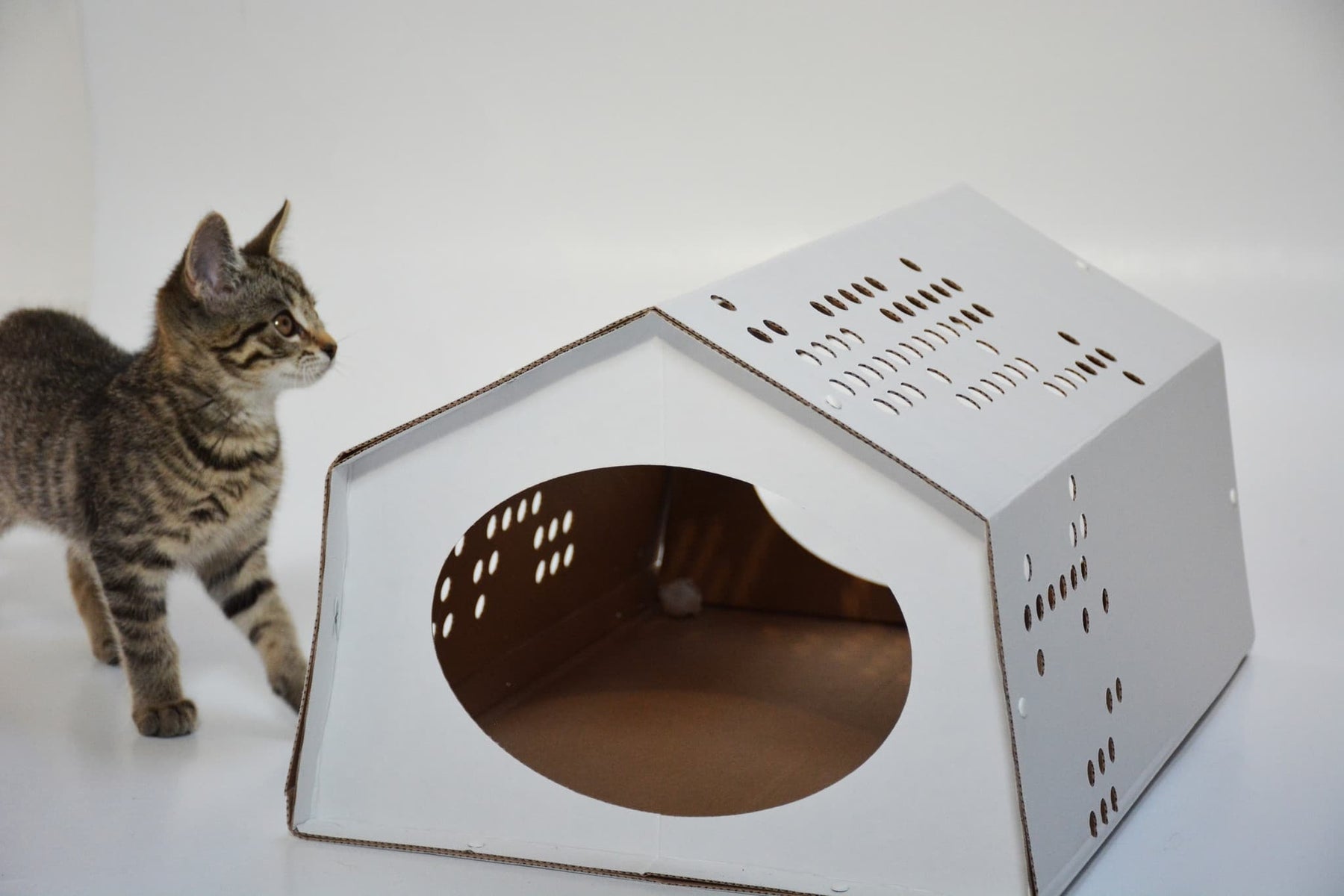 tent voor katten Cardboard Cat Tent