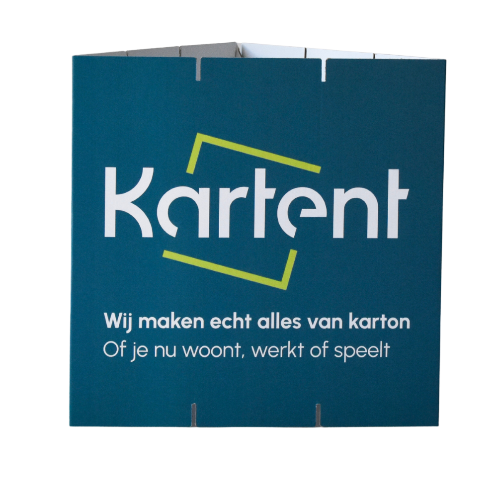 Cardboard printed triangle display