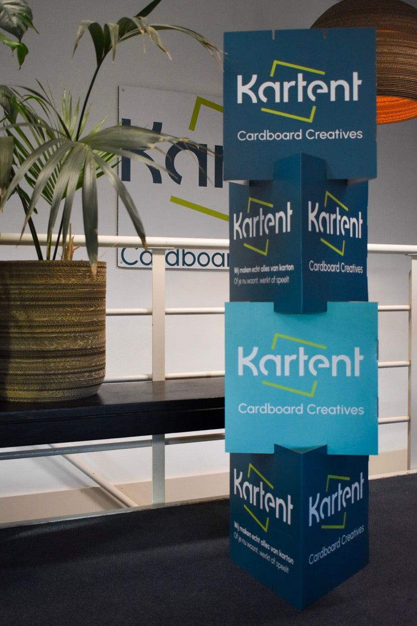 Cardboard printed triangle display