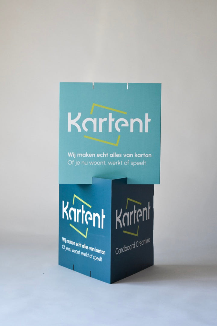 Cardboard printed triangle display