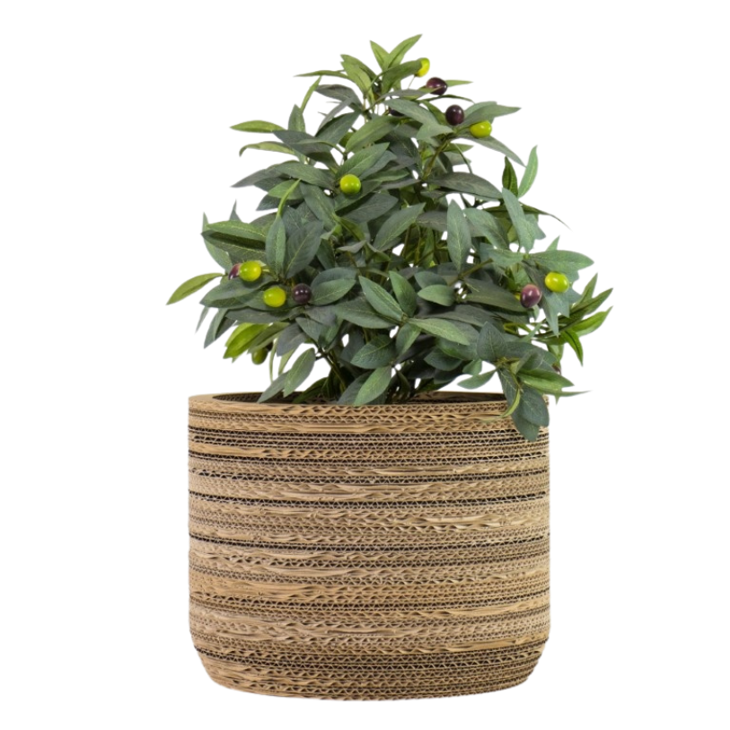 Kartonnen plantenpot Ficus