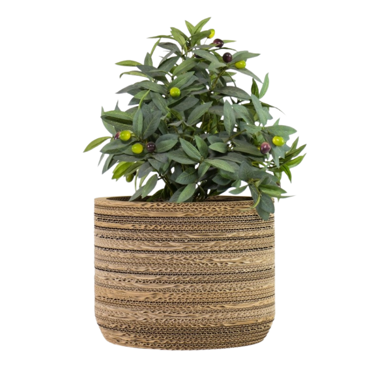 Kartonnen plantenpot Ficus