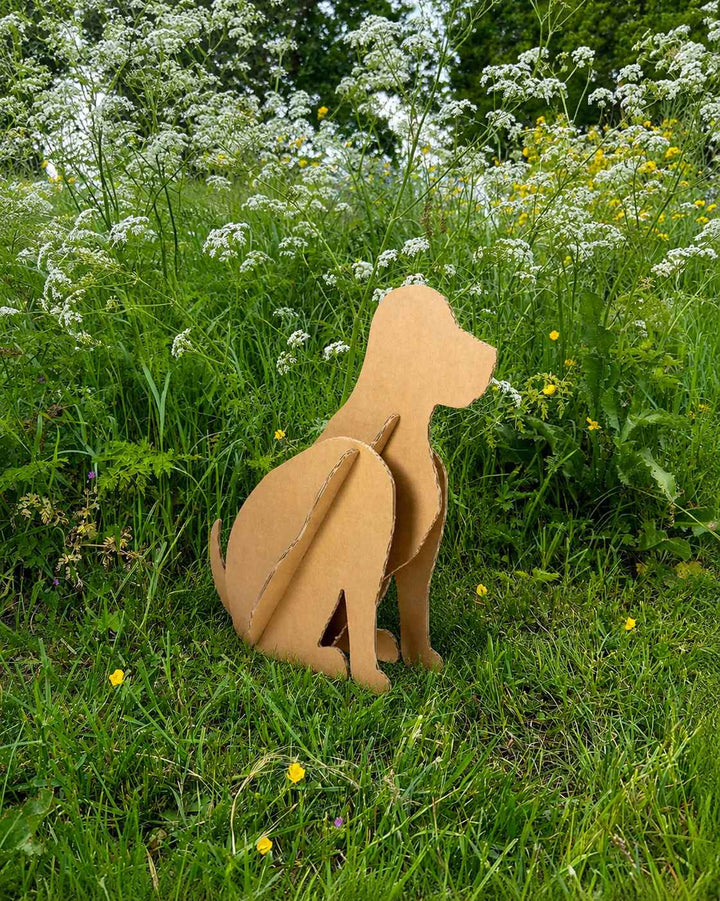 Kartonnen hond