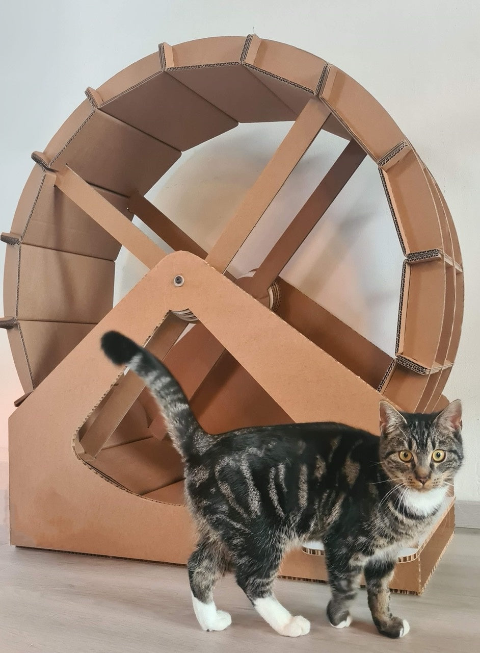 Cardboard cat exercise wheel – Kartent - Main Image