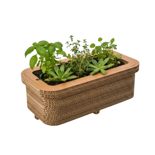 Kartonnen plantenbak Clusia