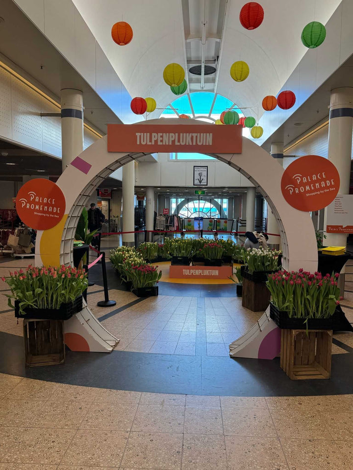 Cardboard advertising arch