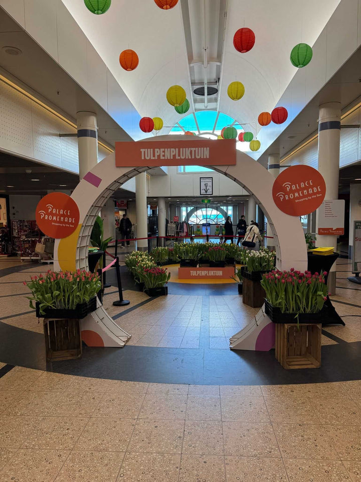 Cardboard advertising arch