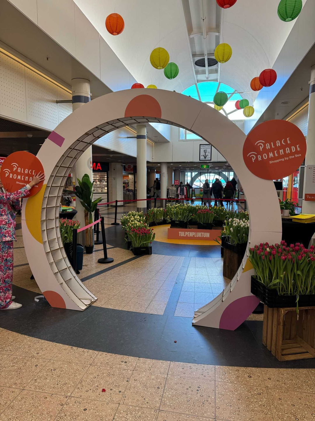 Cardboard advertising arch