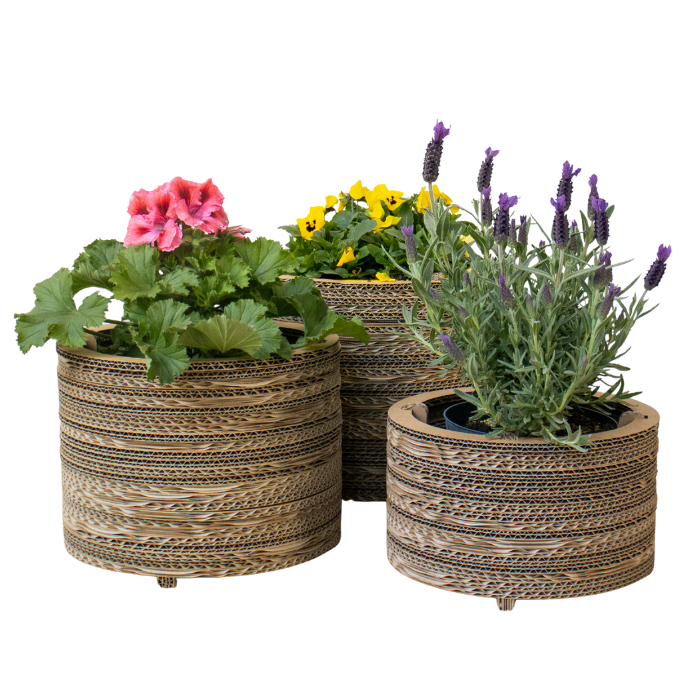 Kartonnen bloempot roos