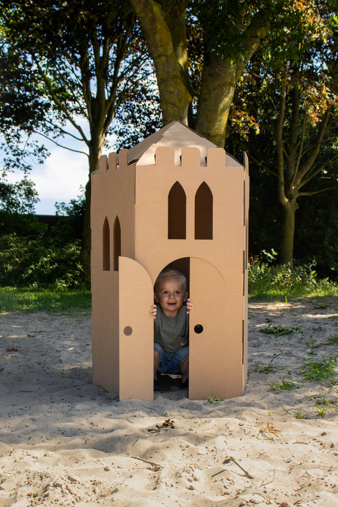 Burg aus Pappe