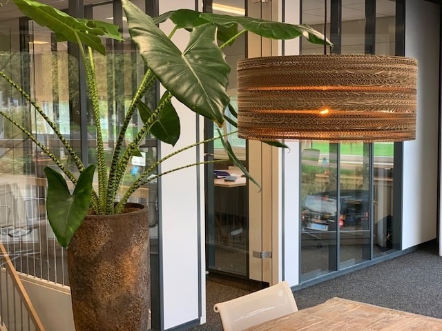 Kartonnen tolmin lamp