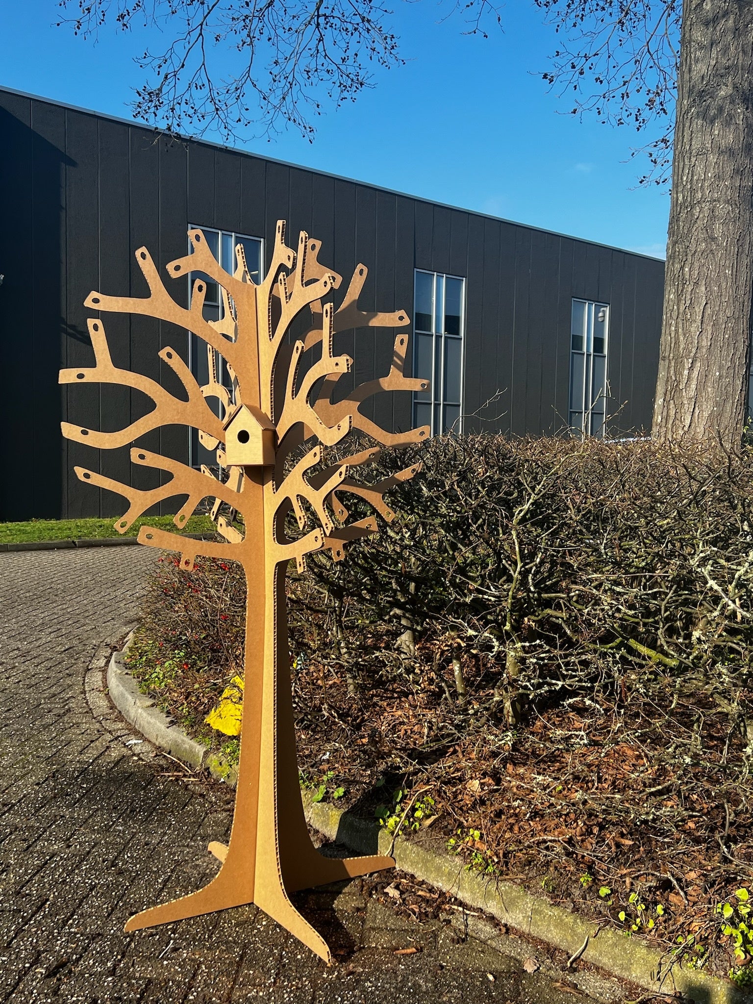 MM: Extra Large Cut Out Tree Pentacle Shop Online Palm Tree 