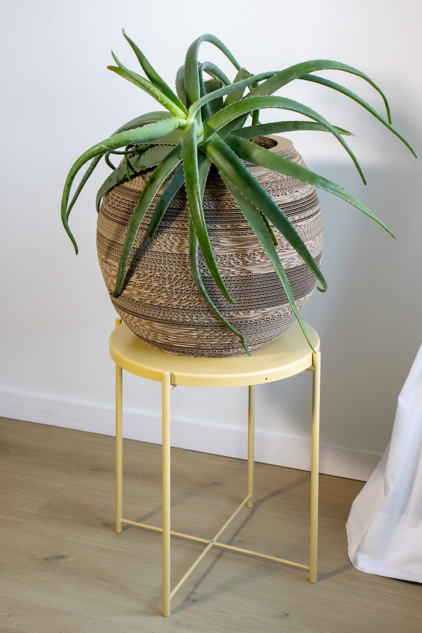 diy cardboard plant pots XL cardboard plant pot